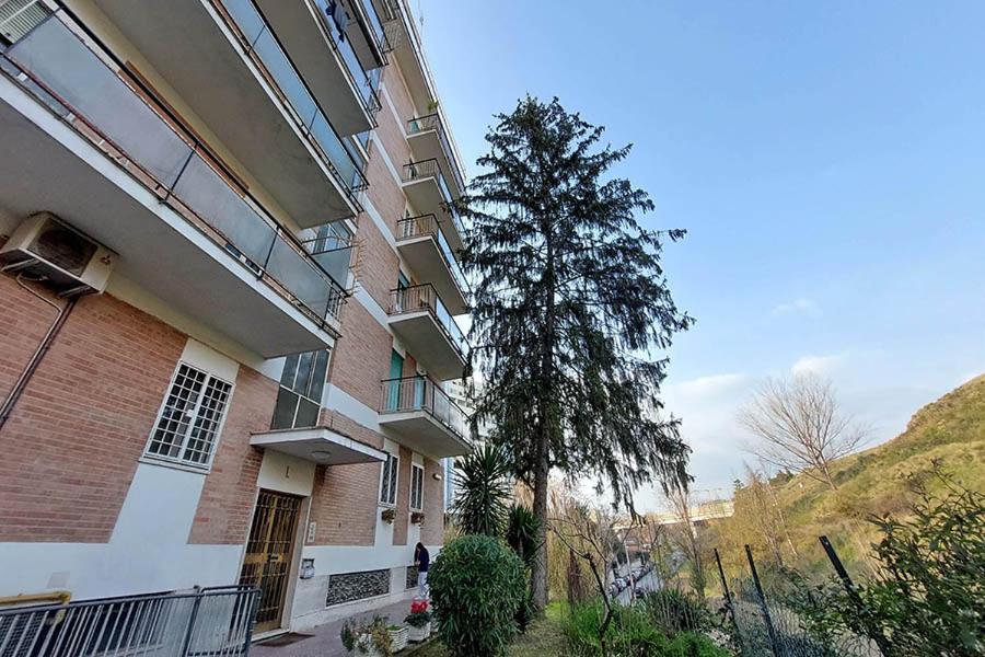 فندق La Casa Di Flavia روما المظهر الخارجي الصورة